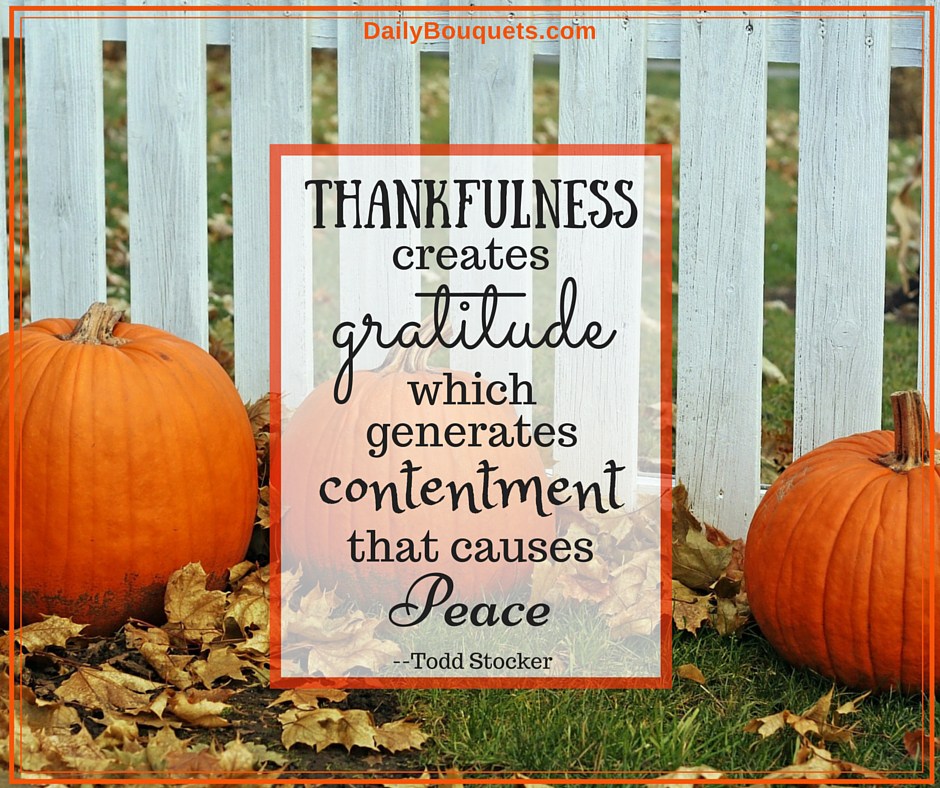 thankfulness-creates-gratitude-which-generates-contentment-that-causes-peace-todd-stocker