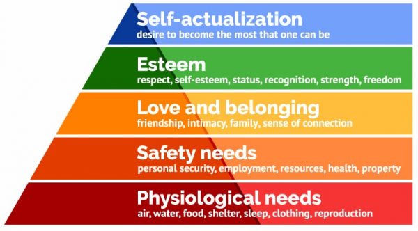 Biblical Hierarchy of Human Needs - Darlene N. Bocek, author