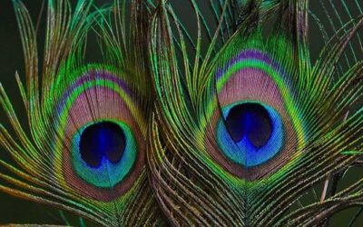 📖 ☕️ Experiencing the Holy 🌄