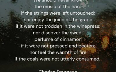 🥵 🥊 Punch in the Face