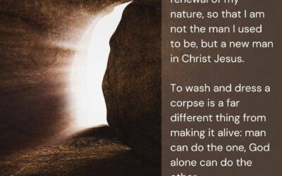 🏚️ Building from the Ground Up ⬆️